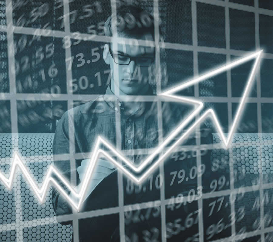 Tax Monitoring System